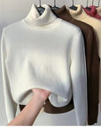 Thick Warm Turtleneck Sweater