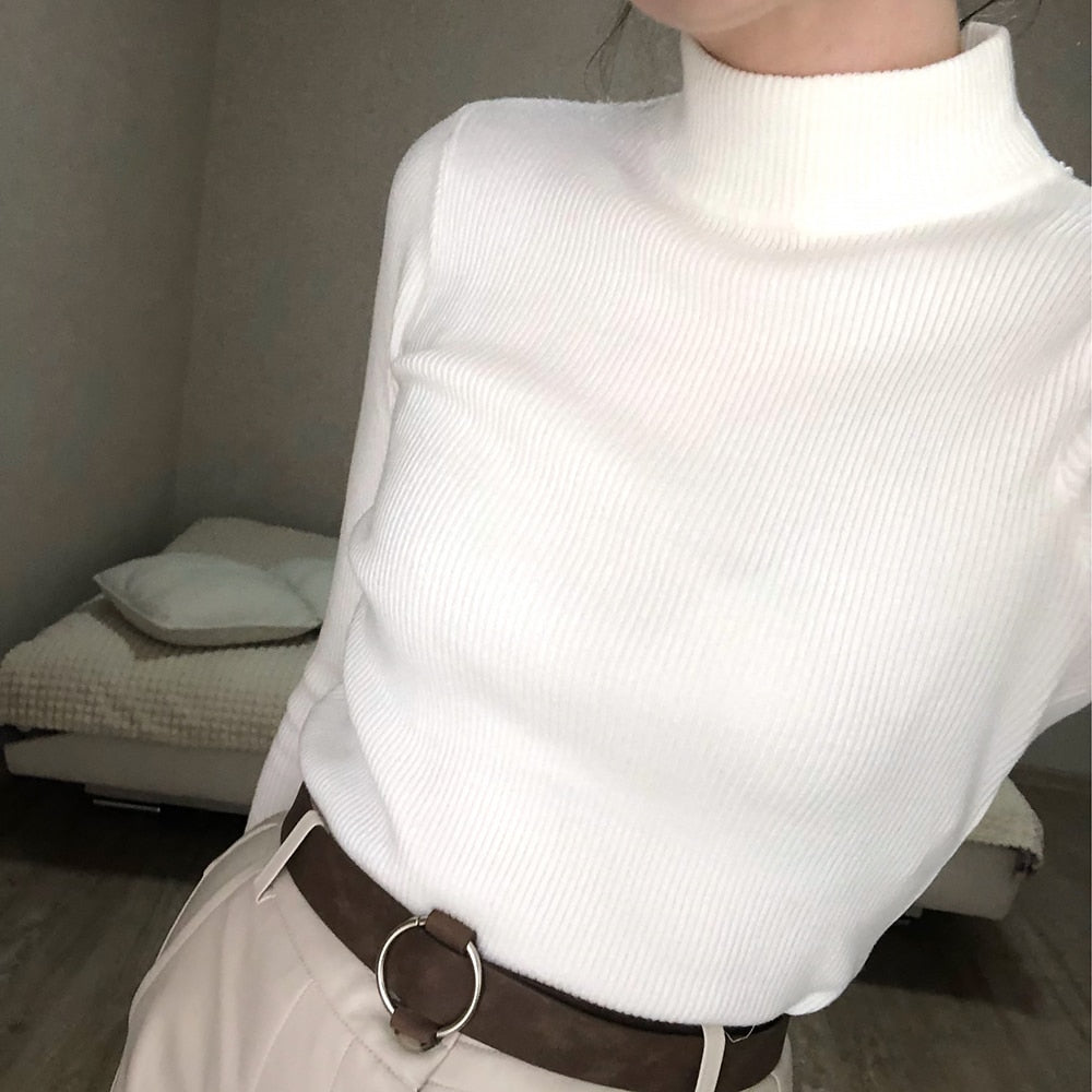 Turtleneck Pullovers Sweaters