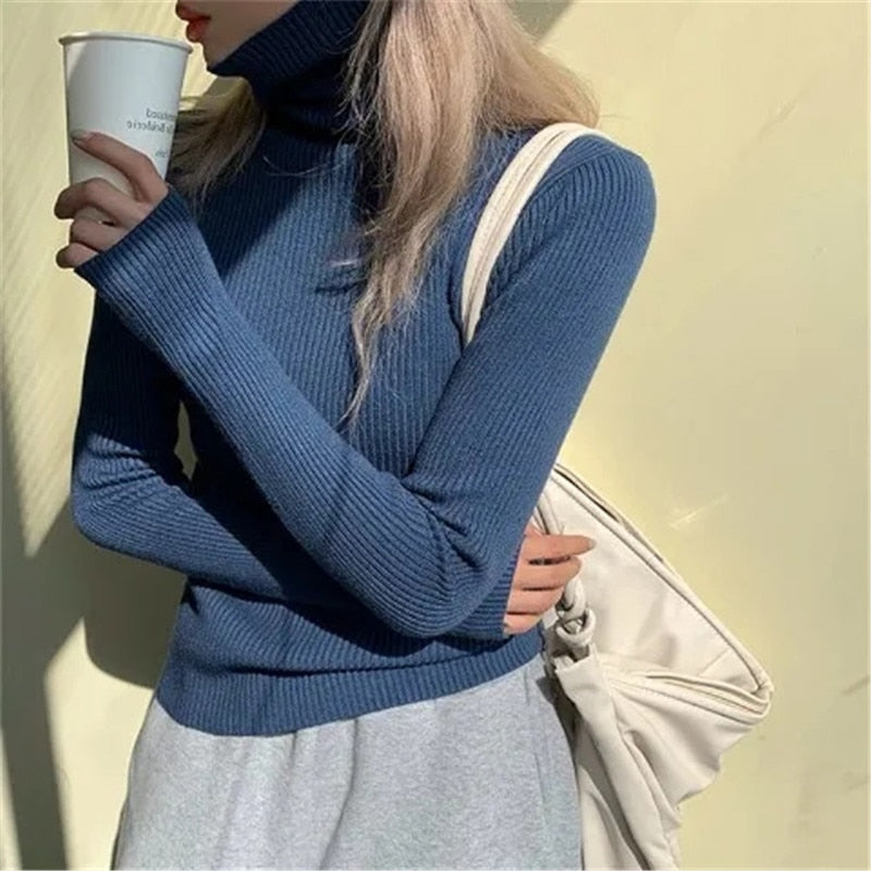 Turtleneck Casual Soft Knit Sweater