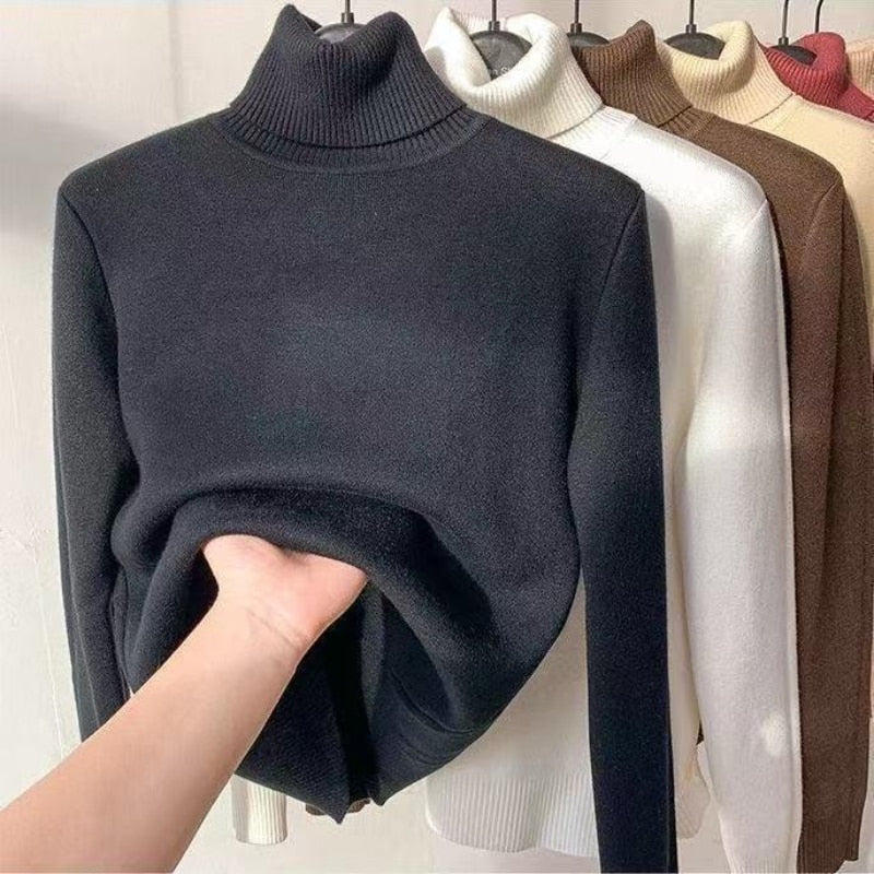 Thick Warm Turtleneck Sweater