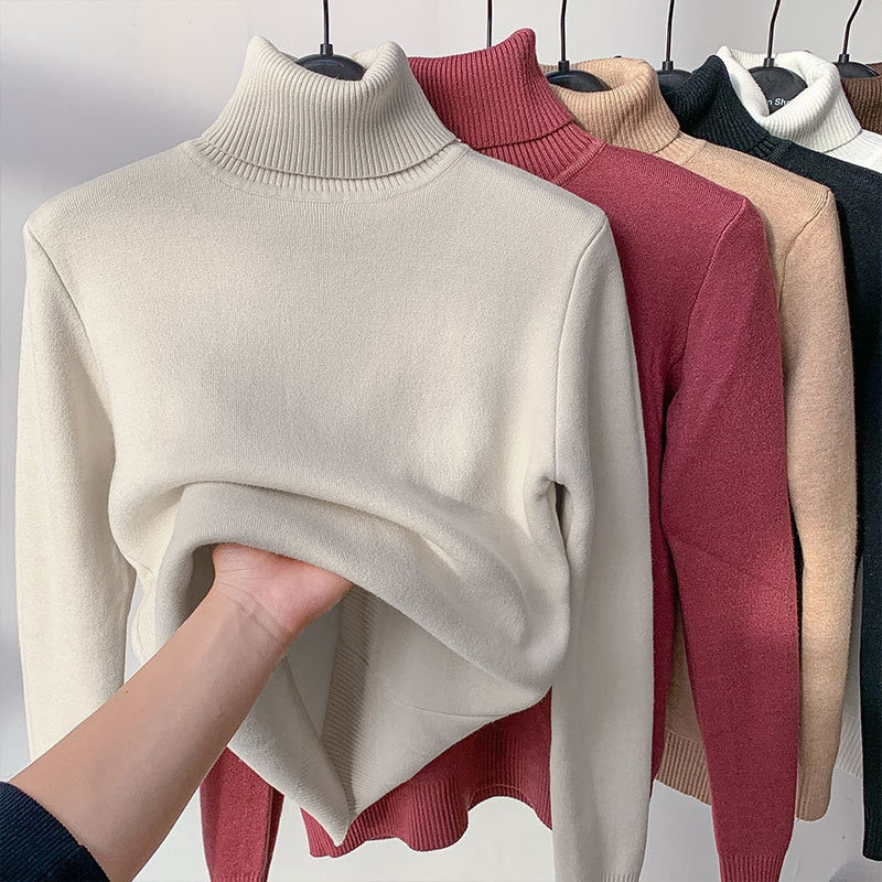 Thick Warm Turtleneck Sweater