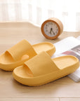 Thick Platform Slippers Women