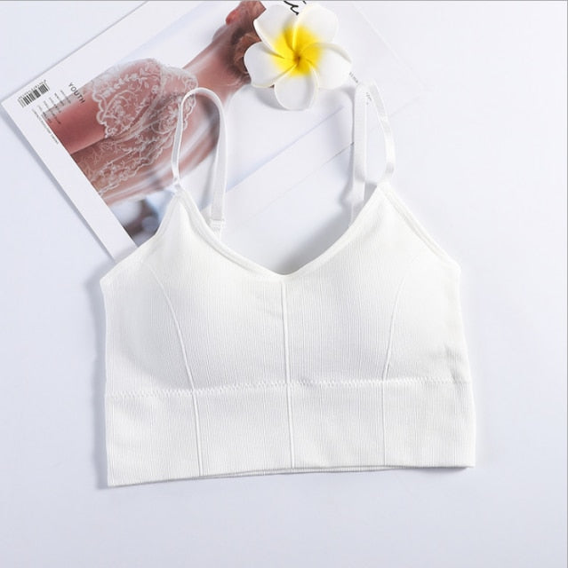 Women Sexy Crop Tops